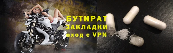 прущие грибы Аркадак