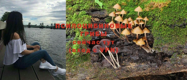 ПСИЛОЦИБИНОВЫЕ ГРИБЫ Алзамай